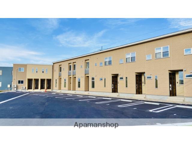 ファインワンコート