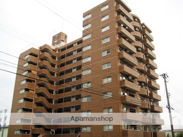 信開ベルシー黒瀬