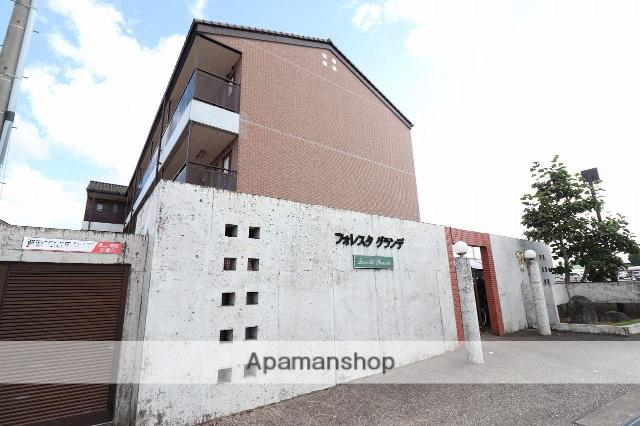 フォレスタグランデ