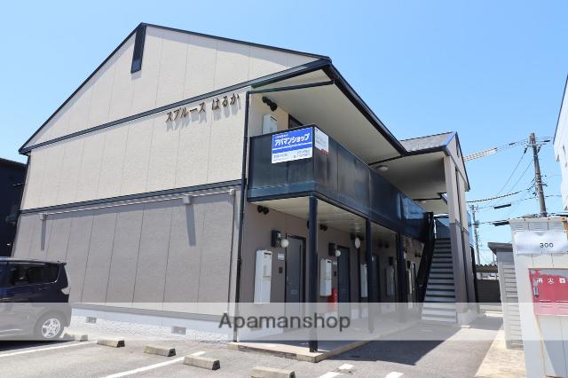 スプルースはるか