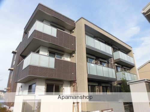 アンビエラ杉木