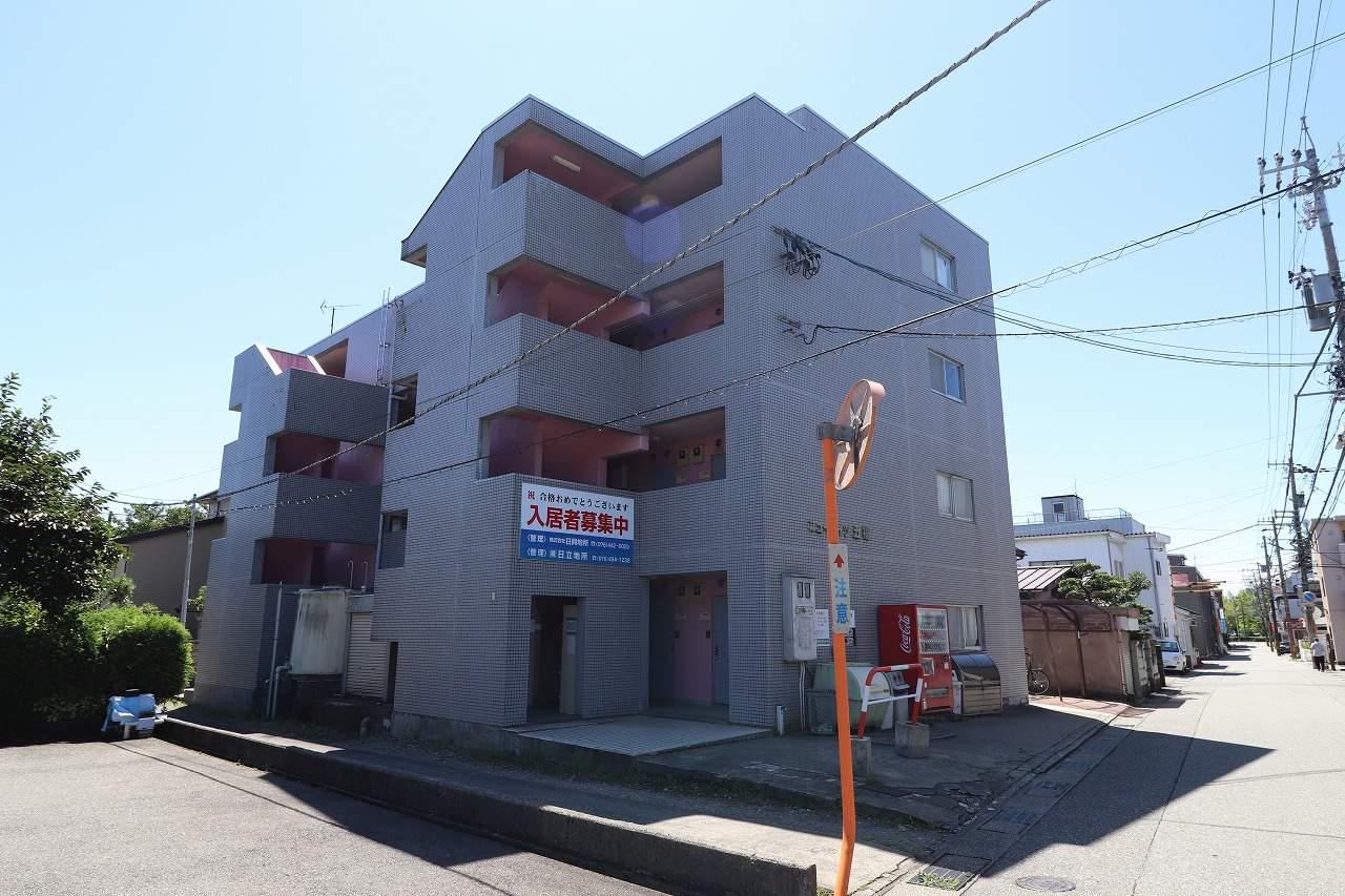 ニューハイツ五福(1K/4階)