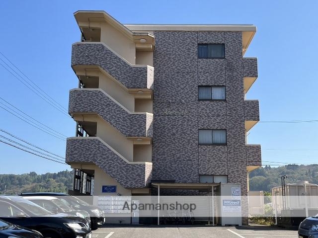 ラピスラズリⅤ