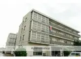 アムール奥井