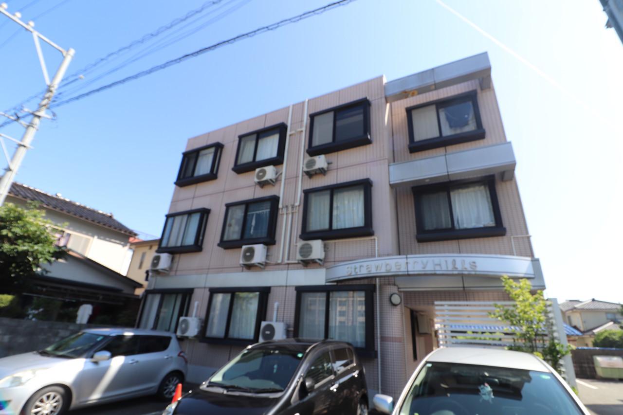 ストロベリーヒルズ