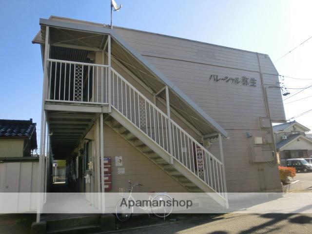 パレーシャル弥生