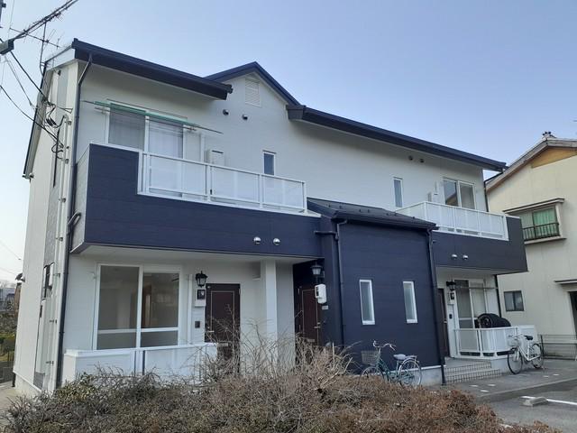 ひまわり
