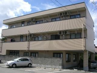 マイウェルマイルド