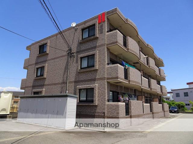 ブルームはやし