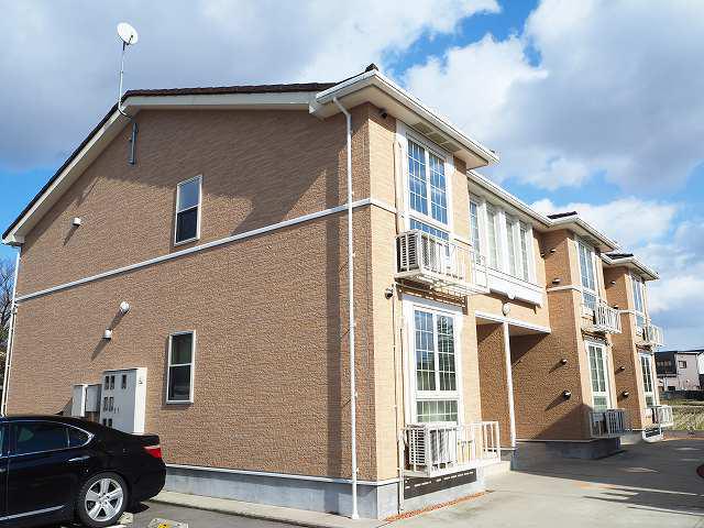 ネオ サガロ カクタス