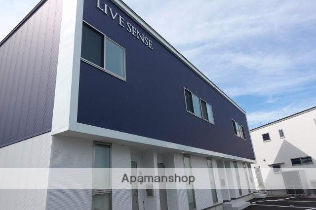 LIVE SENSE