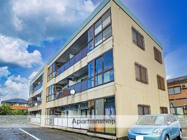 カーサルシール