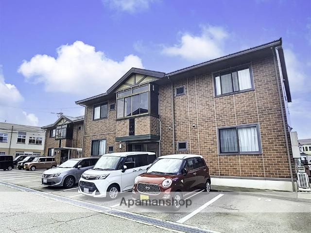 ウィルモアドリーム