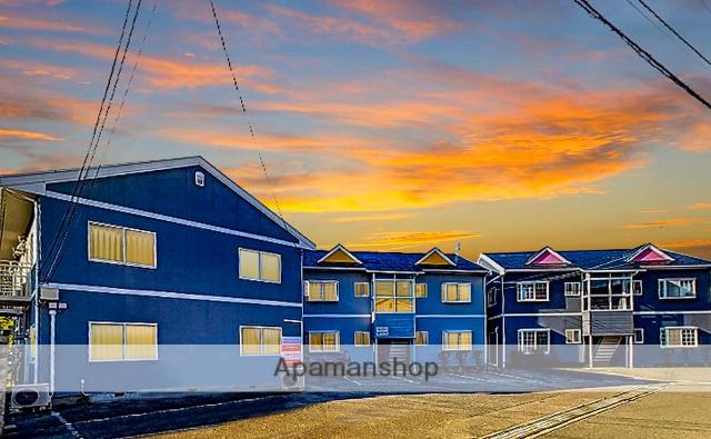 チェリーコート