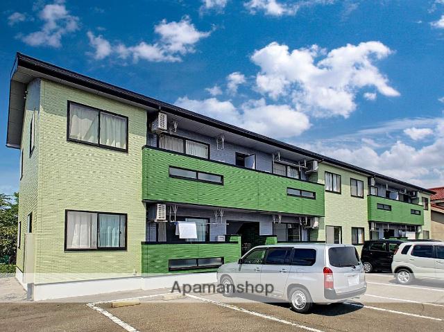 エバーグリーン根上