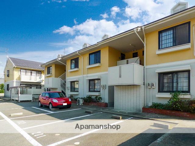 エーデルワイス