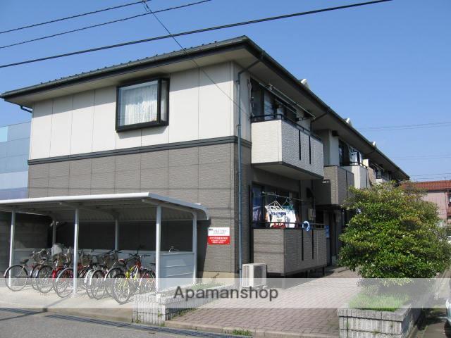 ハイカムール・マーガレット