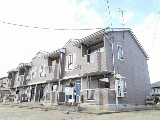 ニューキャロット