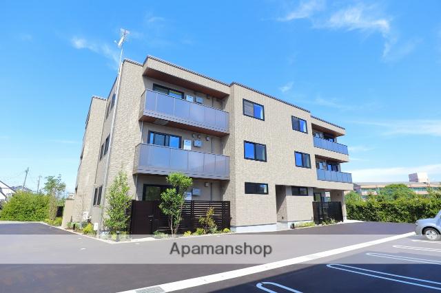 マイラストラス