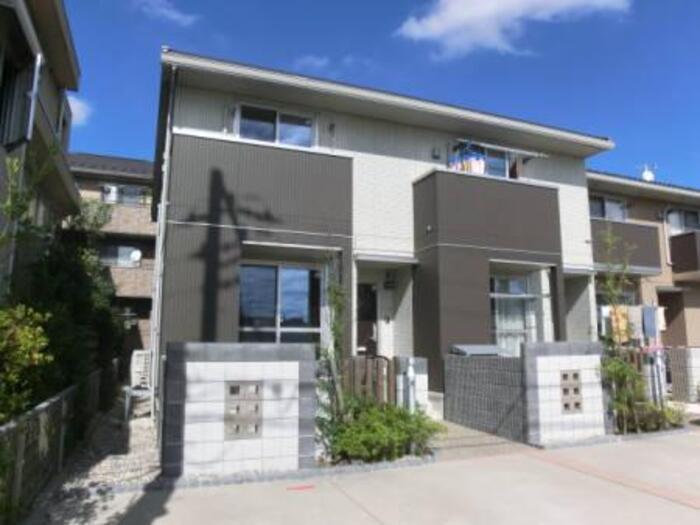 ルールフラーズ