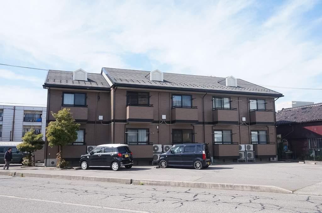 ジョリ・セジュール元菊Ⅱ