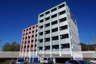 ヴィーヴォ・ダ・ソーロ