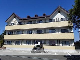 ミディアルピーヌ