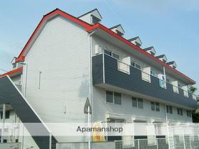 ハイムオーキッド