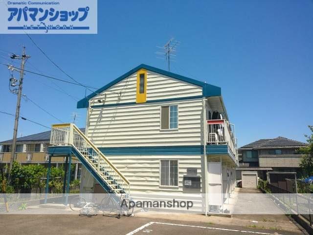 パイン・フィールド