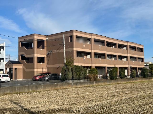 ブラウンシティー715