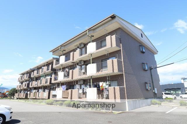 ペアフィールド