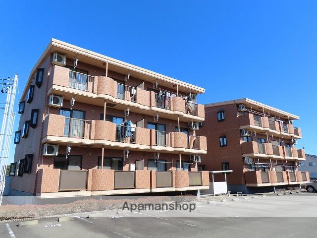 エバーグリーン