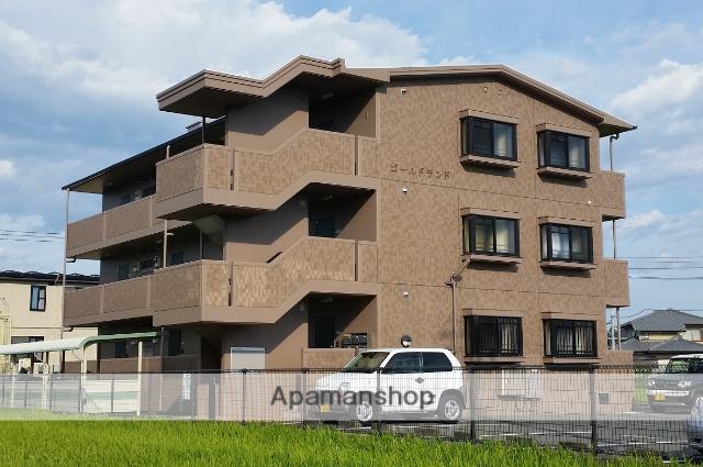 ゴールドランド