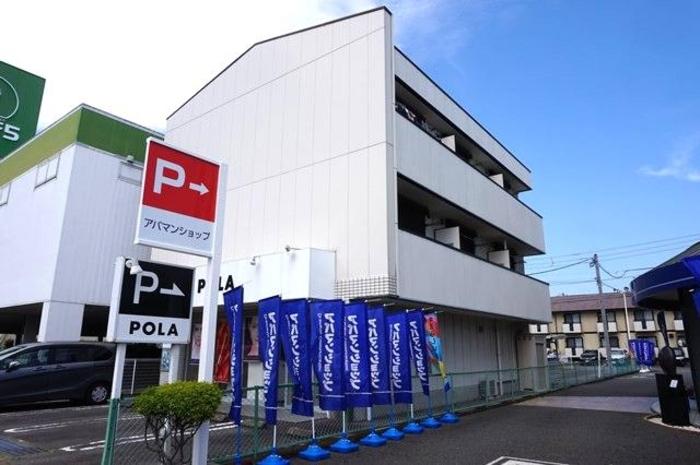 ヴィルドミール