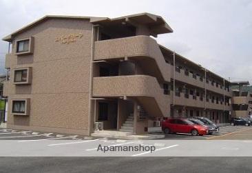 エバーグリーン