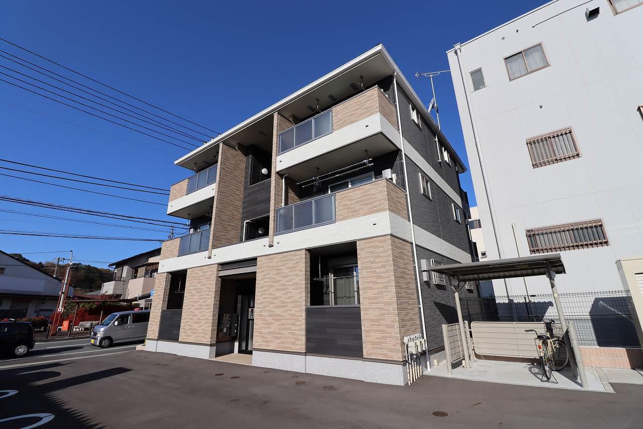 コンフォール 桜