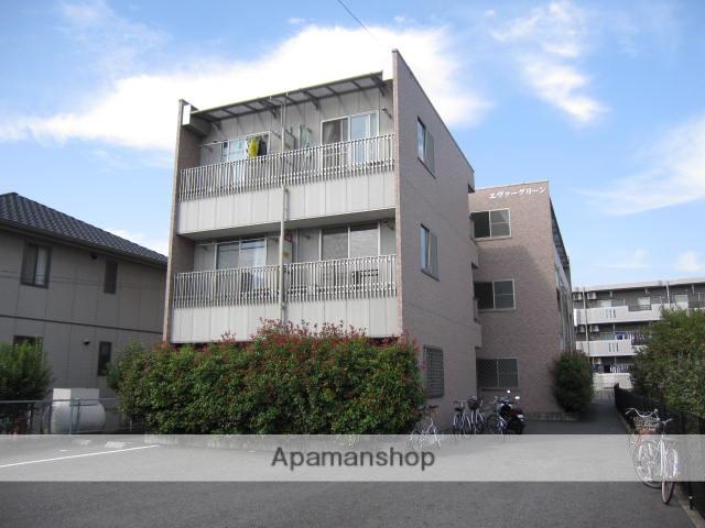 エヴァーグリーン