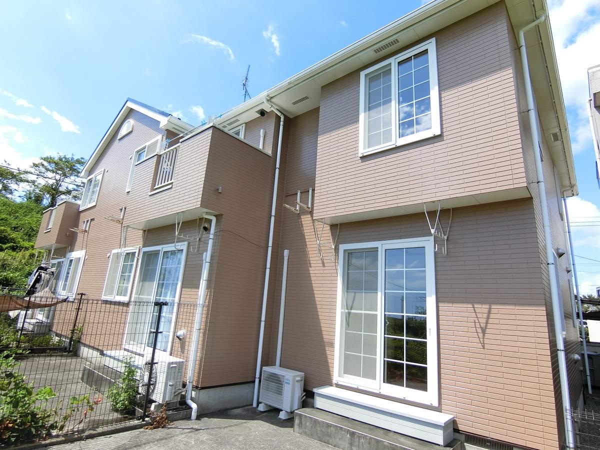 サンフラワー岩波