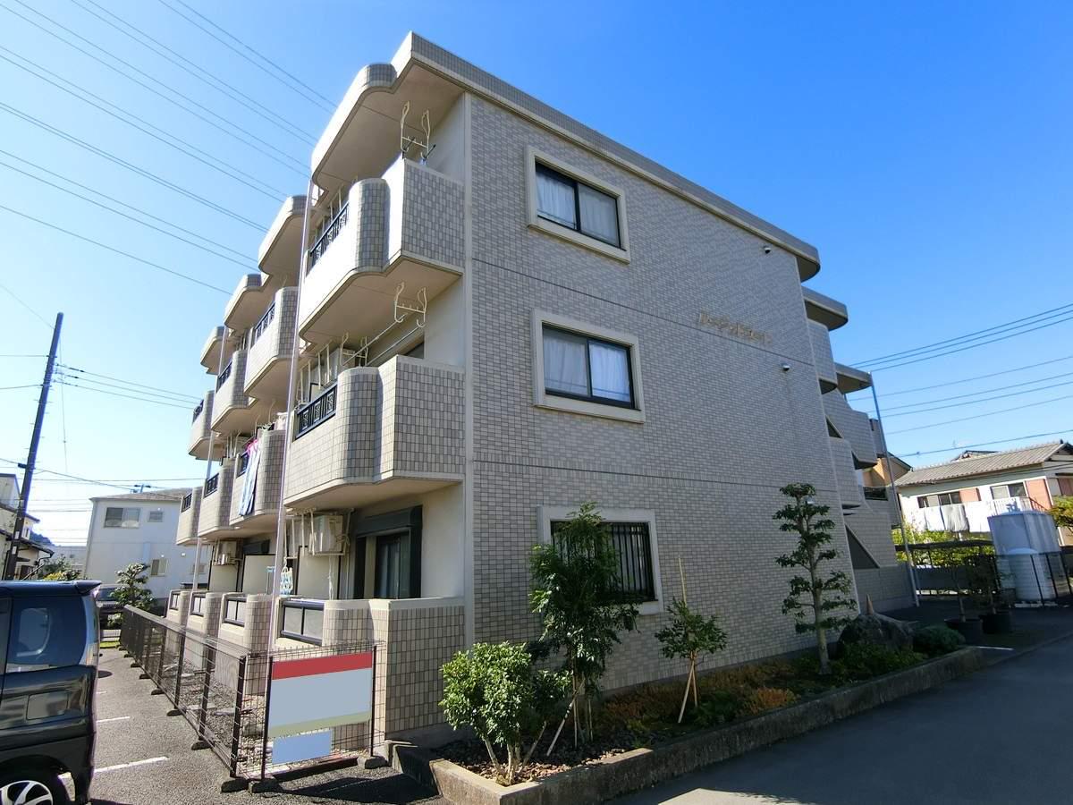 ルーシッドコート