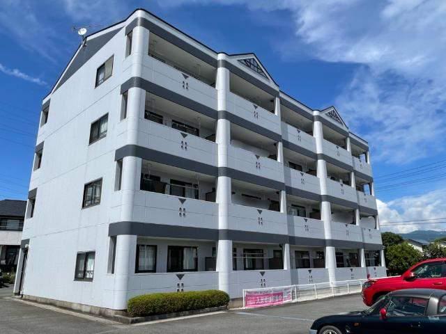 ロイヤル花水木