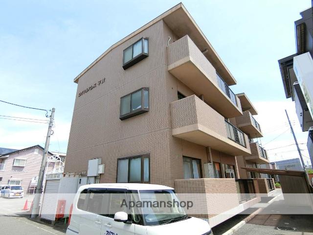 ロイヤルパレス平沢