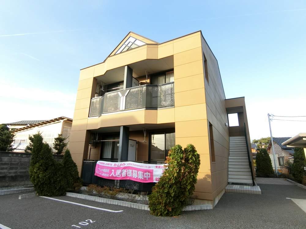 パインツリー