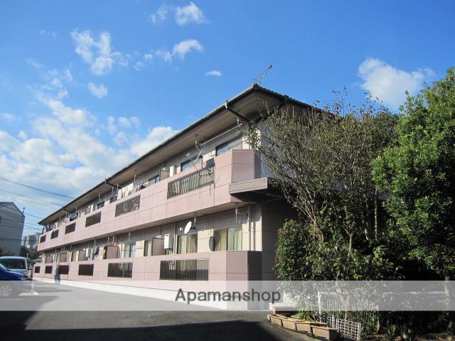 ストリーム一色