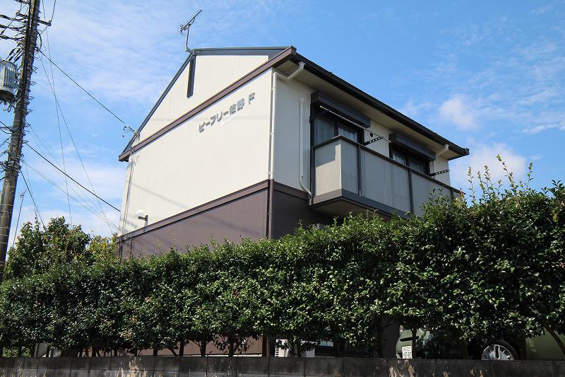 ビーフリー佐野F