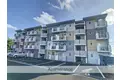 KANDAスリーナイン