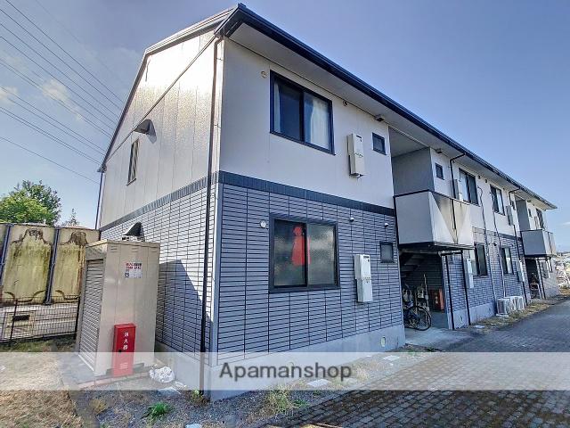 フローラヴェルテ・バーケリア