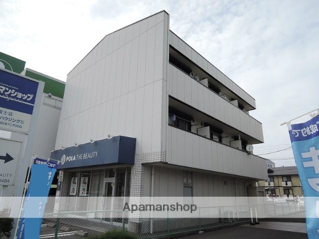 ヴィルドミール