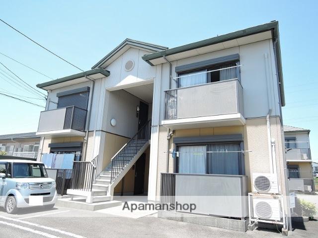 アゼリアマンノC