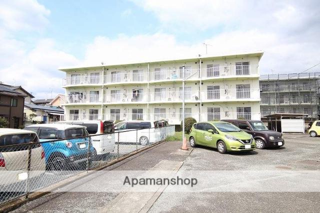 セントポーリア