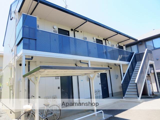 ネイティヴ・サン